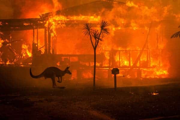 Australian Bushfire Crisis